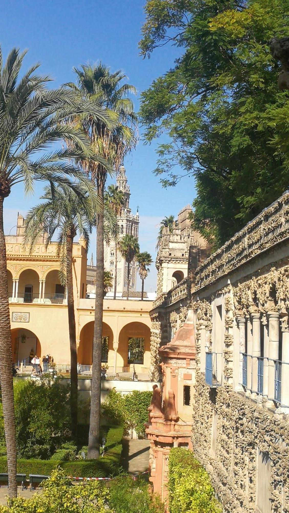 Apartamentos Flamenco B&B Sevilla Exterior foto